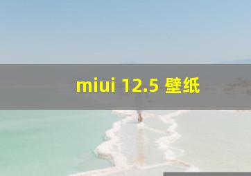 miui 12.5 壁纸